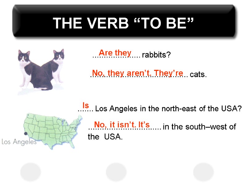 THE VERB “TO BE” ..................... rabbits? ........................................... cats. ....... Los Angeles in the north-east